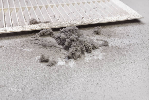 Best Ductwork Cleaning Services  in New Plymouth, ID